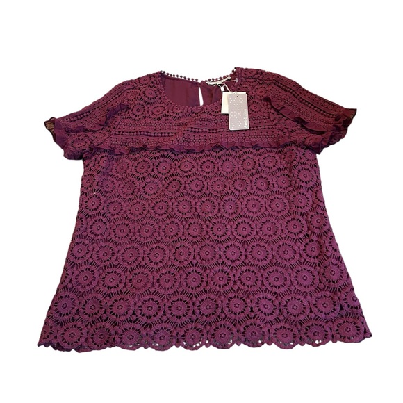 Daniel Rainn Tops - DANIEL RAINN crochet blouse nwt